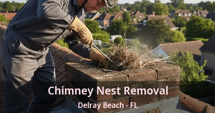Chimney Nest Removal Delray Beach - FL Chimney Nest Removal Delray Beach - FL