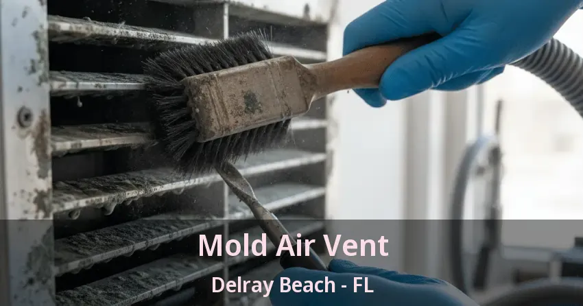 Mold Air Vent Delray Beach - FL
