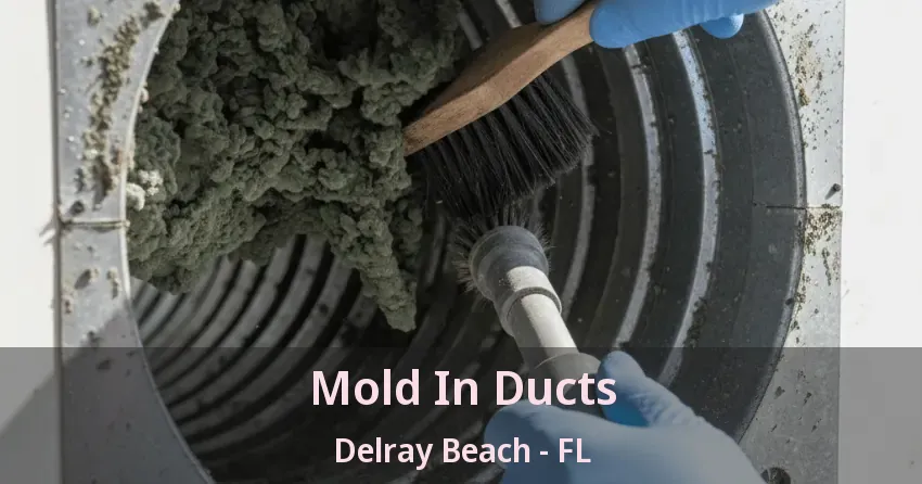 Mold In Ducts Delray Beach - FL