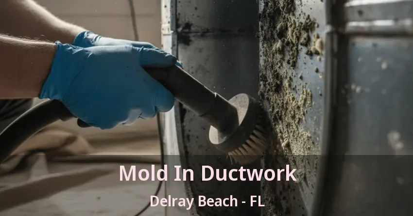Mold In Ductwork Delray Beach - FL
