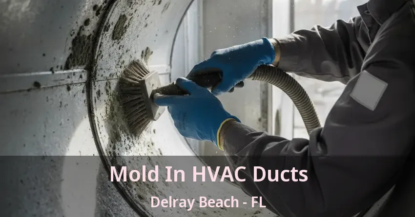 Mold In HVAC Ducts Delray Beach - FL