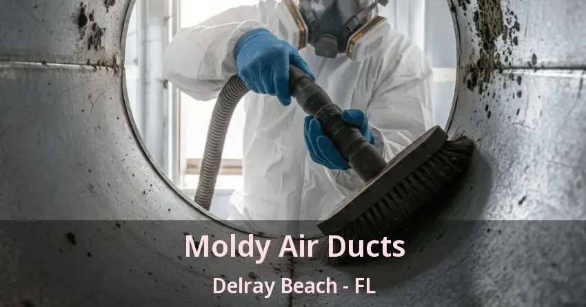 Moldy Air Ducts Delray Beach - FL